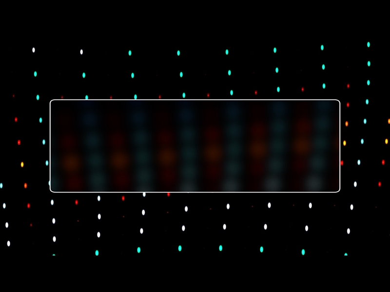 THE DOT FLOW MOTION INLAY