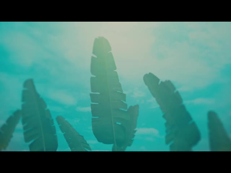 THE ROAD TO EASTER: PALM LEAF