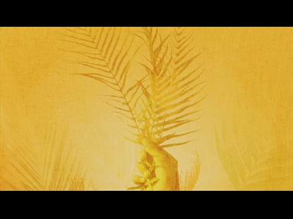 WITNESS HIS RESURRECTION: PALM BRANCH MOTION BACKGROUND