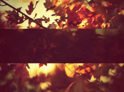 VINTAGE AUTUMN LOOPER 3