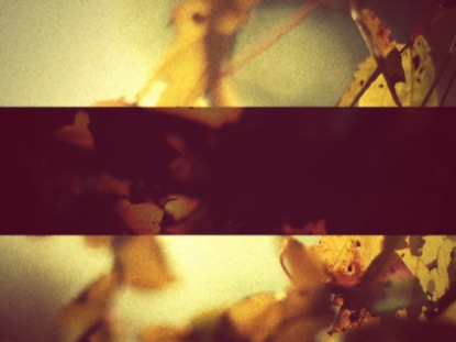 VINTAGE AUTUMN LOOPER 4