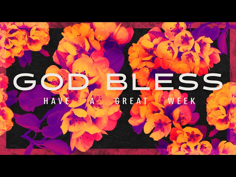 BOLD BLOOMS GOD BLESS