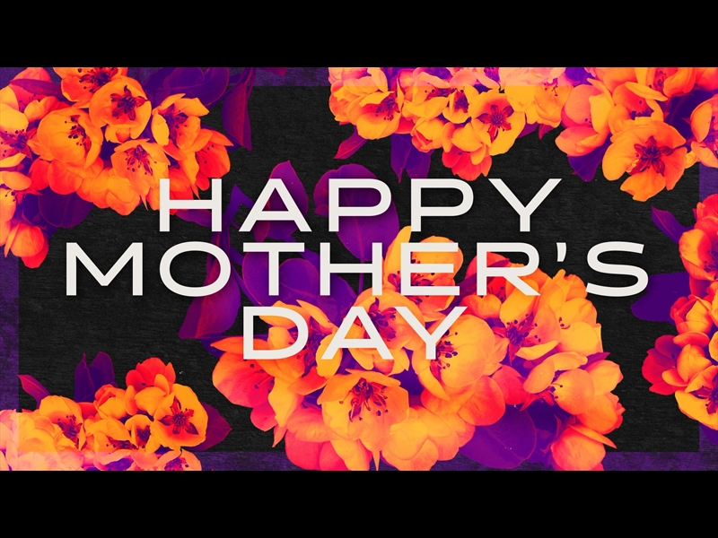 BOLD BLOOMS MOTHER'S DAY