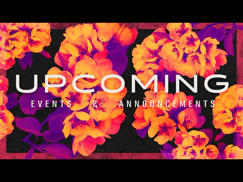 BOLD BLOOMS UPCOMING