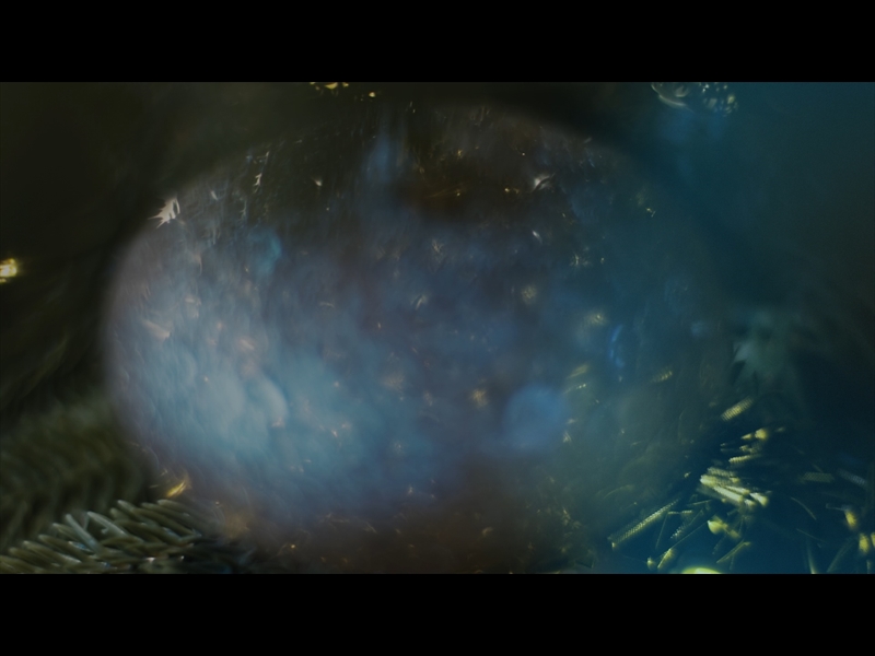 BRIGHT AND BEAUTIFUL LOOP 04