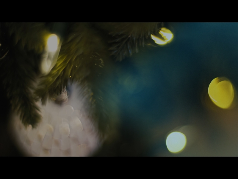 BRIGHT AND BEAUTIFUL LOOP 06