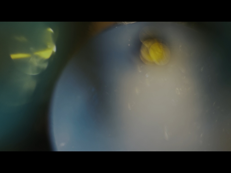 BRIGHT AND BEAUTIFUL LOOP 07