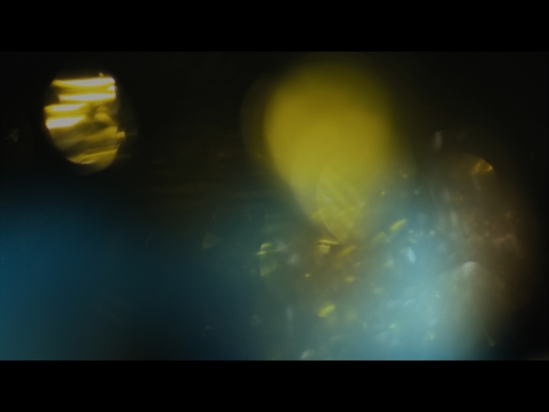 BRIGHT AND BEAUTIFUL LOOP 08