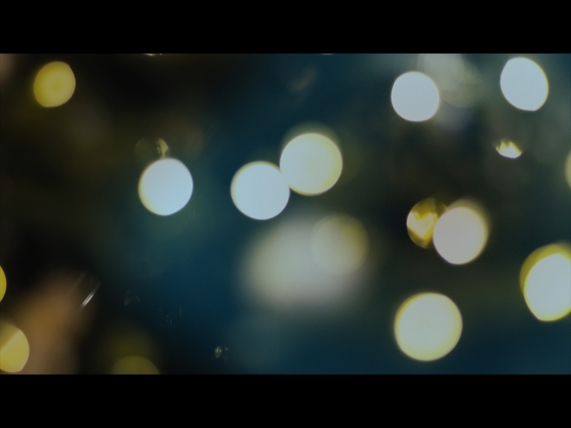 BRIGHT AND BEAUTIFUL LOOP 11