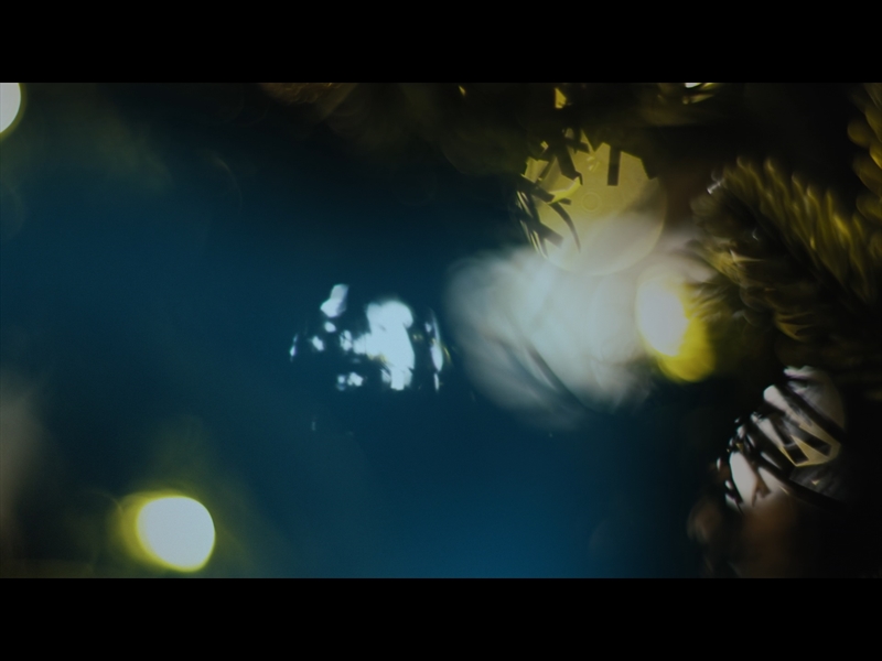 BRIGHT AND BEAUTIFUL LOOP 13