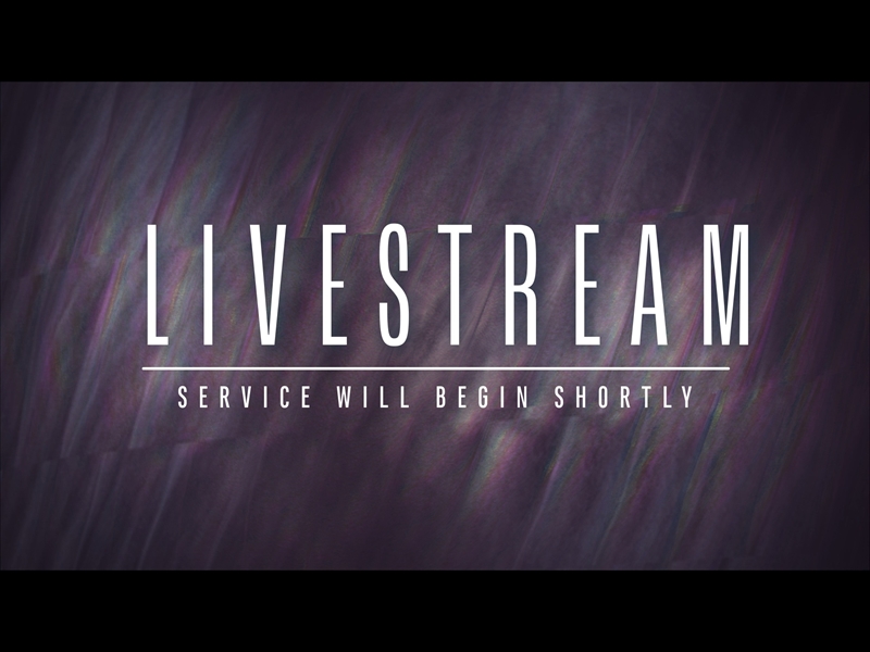 COLOR FOLD LIVESTREAM