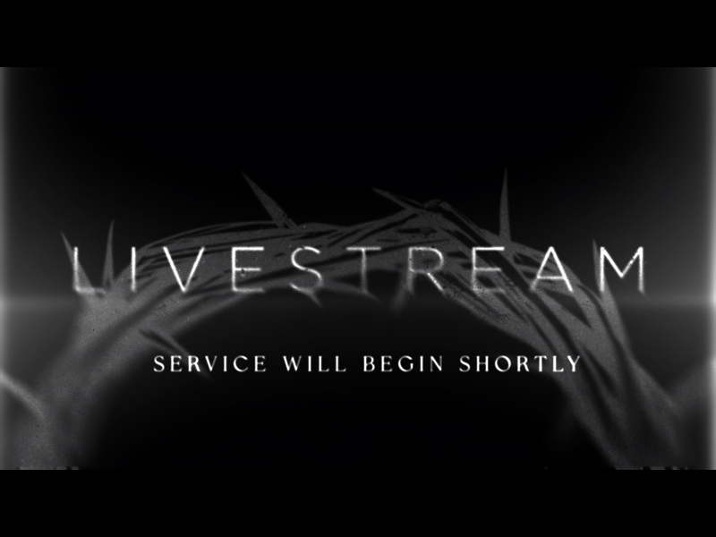 The Crown Vostfr Hd Stream
