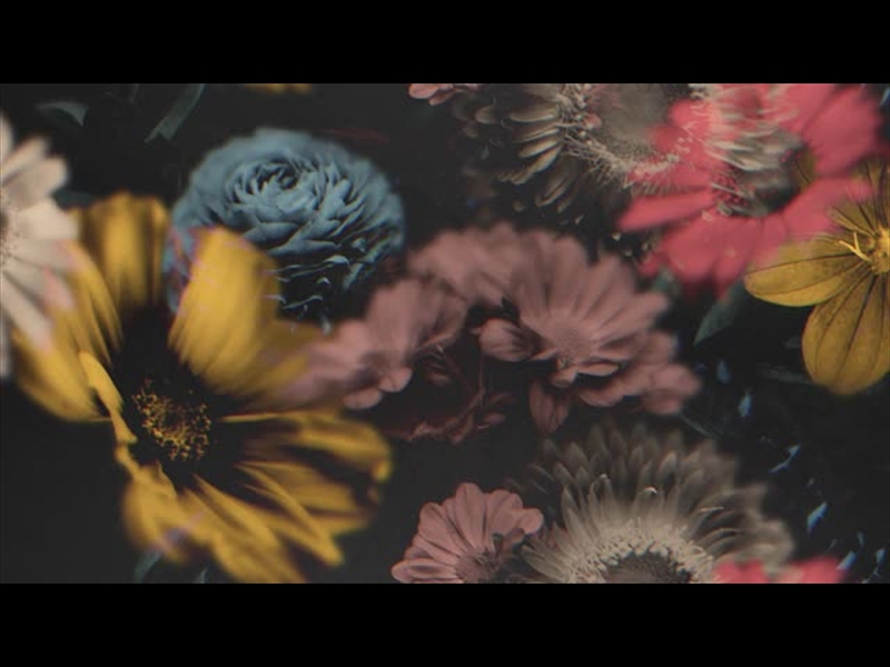 Deep Beauty Collection | Timber & Pearl | WorshipHouse Media