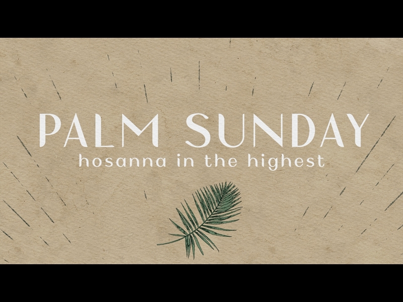 DRAWN TO HIM PALM SUNDAY