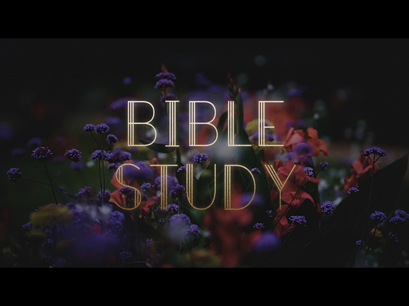 EBONY FLORAL: BIBLE STUDY