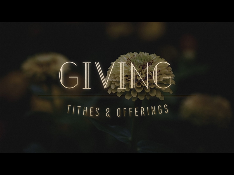 EBONY FLORAL: GIVING