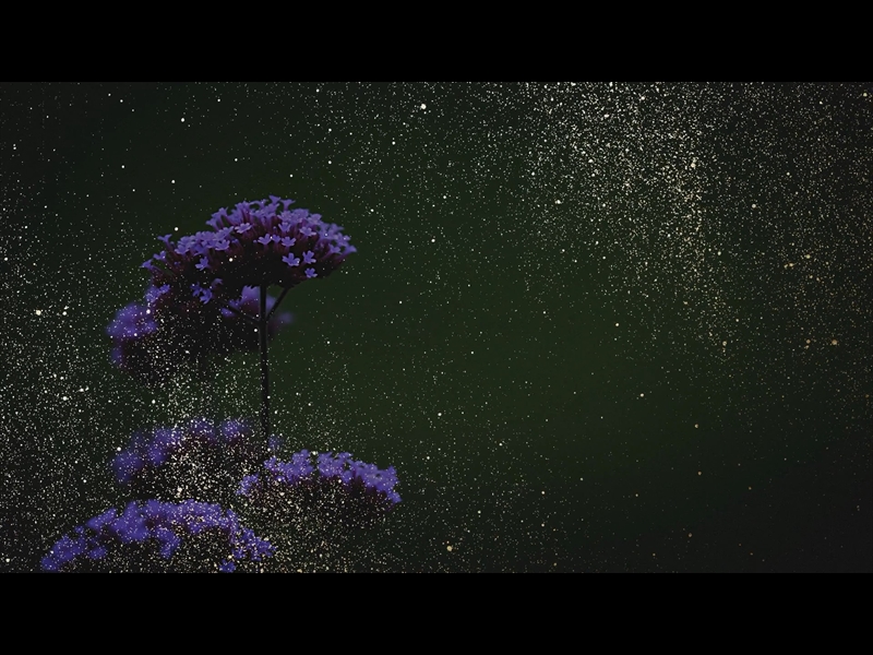 EBONY FLORAL: LOOP 05