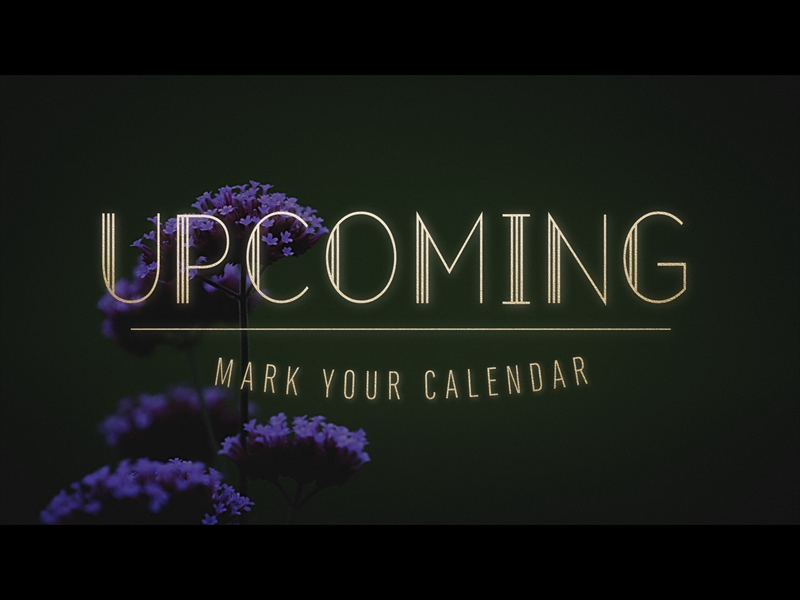 EBONY FLORAL: UPCOMING