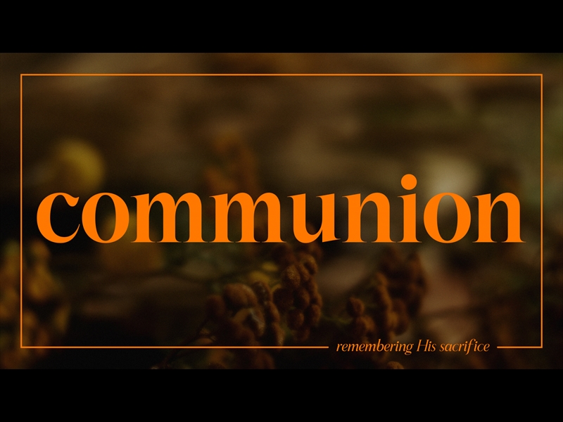 Search | WorshipHouse Media