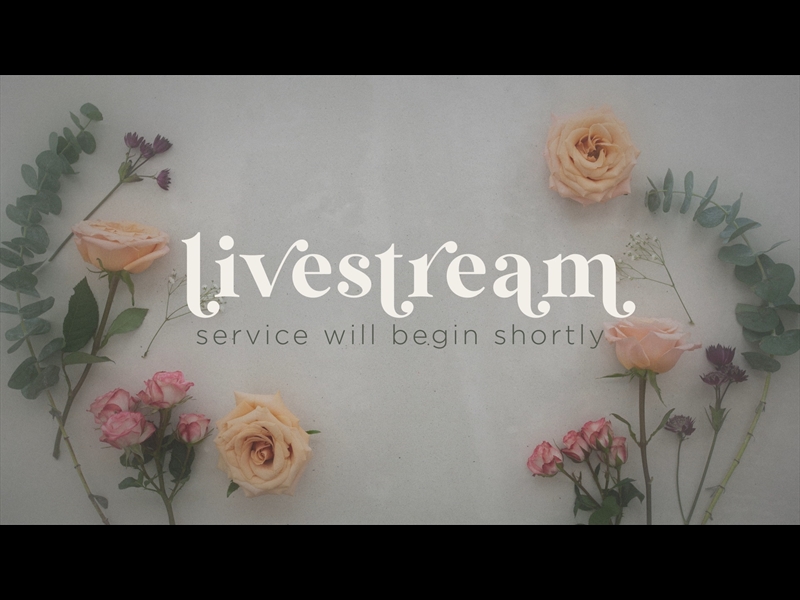 FLORIST LOOP LIVESTREAM