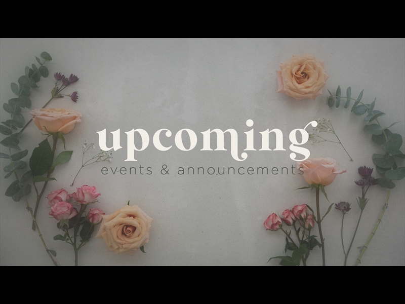 FLORIST LOOP UPCOMING