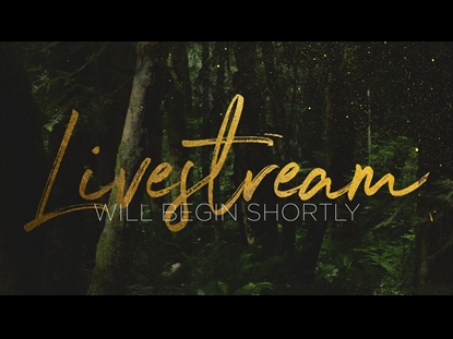 FOREST GOLD LIVESTREAM