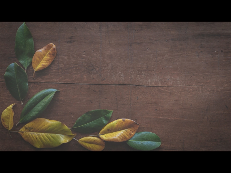 GIVING TABLE LOOP 01