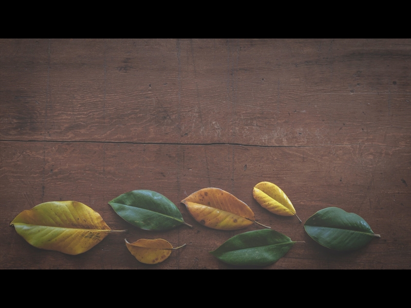 GIVING TABLE LOOP 02