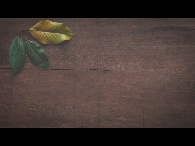 GIVING TABLE LOOP 03