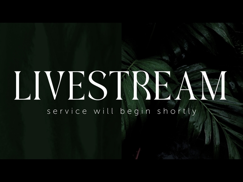GROVE LIVESTREAM
