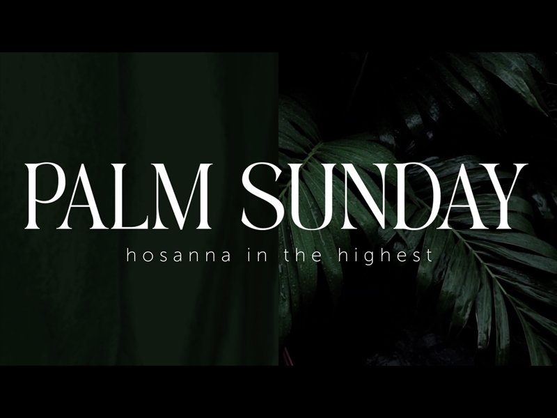 GROVE PALM SUNDAY