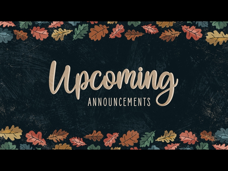 HAPPY LEAVES UPCOMING