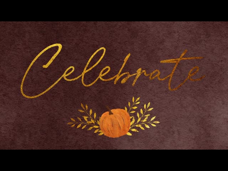 HARVEST PUMPKIN CELEBRATE