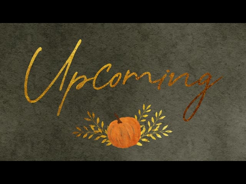 HARVEST PUMPKIN UPCOMING