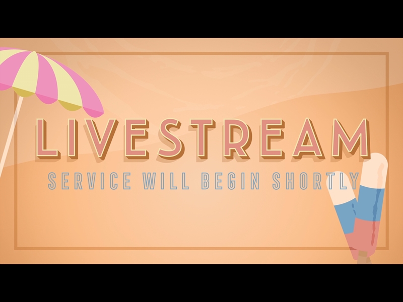 HELLO SUMMER LIVESTREAM