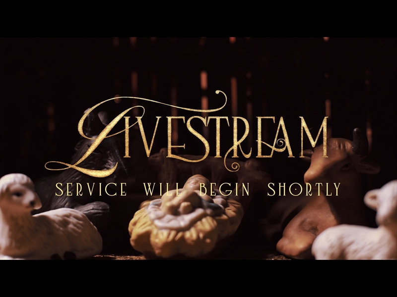 IN A MANGER LIVESTREAM