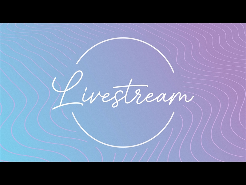 LAVENDER WAVES LIVESTREAM