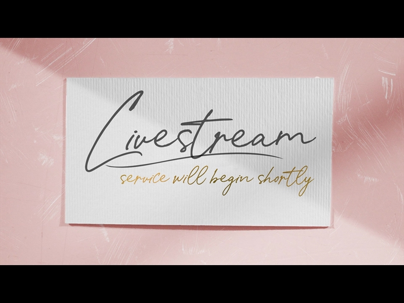 LOVE IS LIVESTREAM