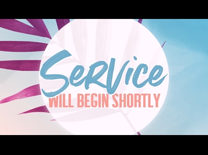 MODERN PALM MAGENTA SERVICE