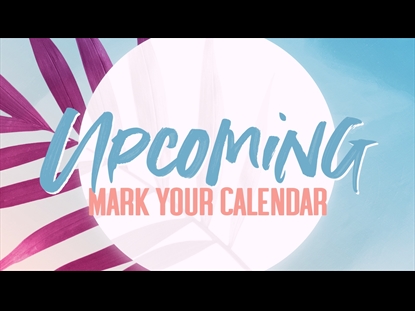 MODERN PALM MAGENTA UPCOMING