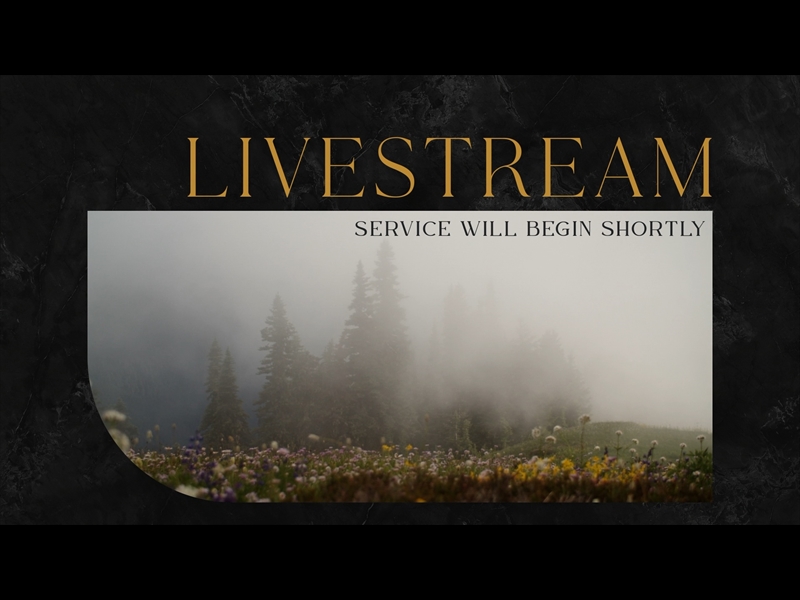 MOUNTAINSIDE LIVESTREAM