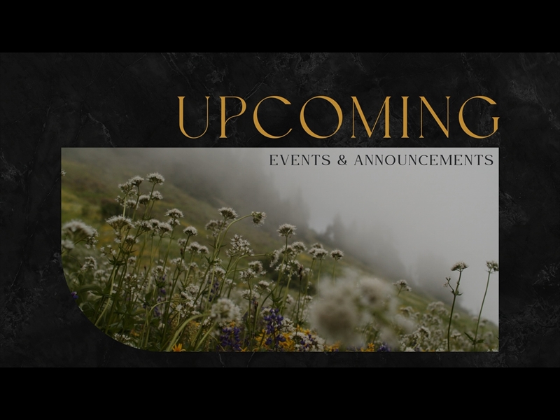 MOUNTAINSIDE UPCOMING