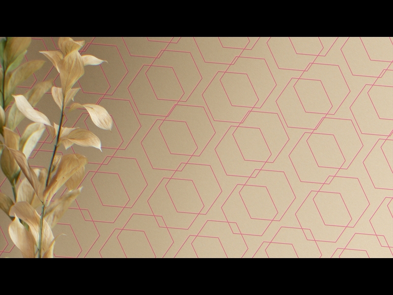 Natro Loop 06 | Timber & Pearl | WorshipHouse Media