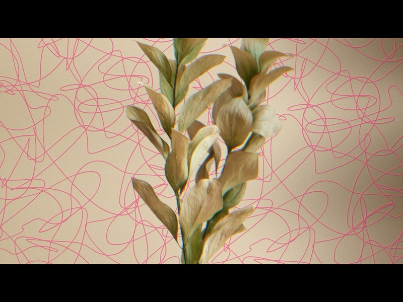 Natro Loop 07 | Timber & Pearl | WorshipHouse Media