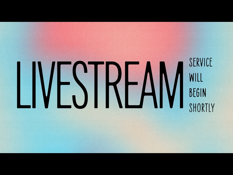 PAINT THE SKY LIVESTREAM