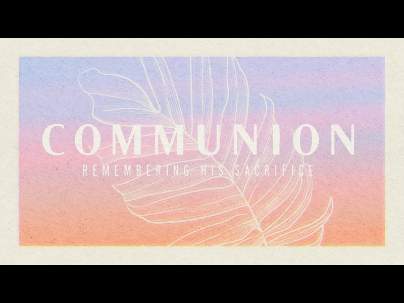 PAPER PALM COMMUNION