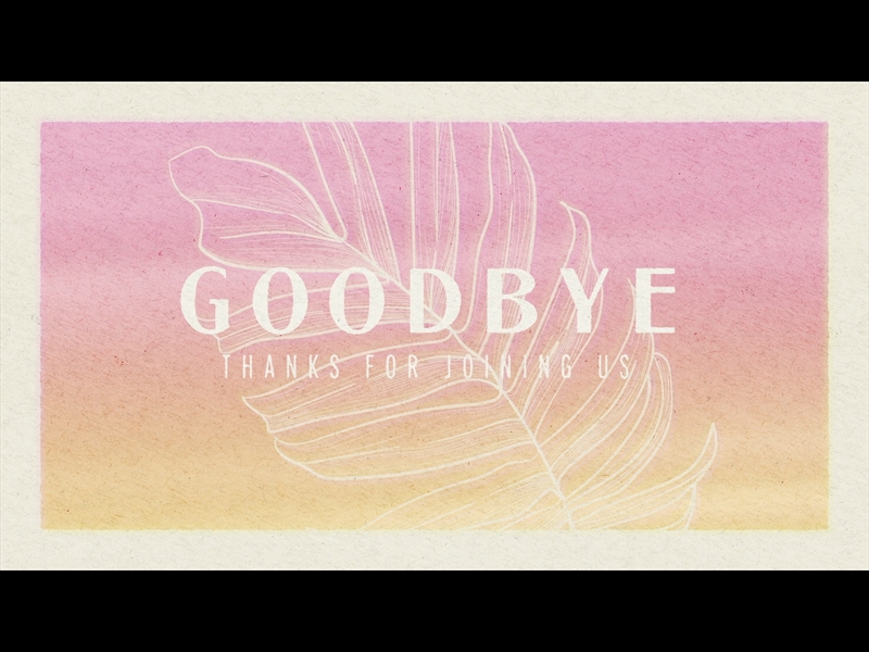 PAPER PALM GOODBYE