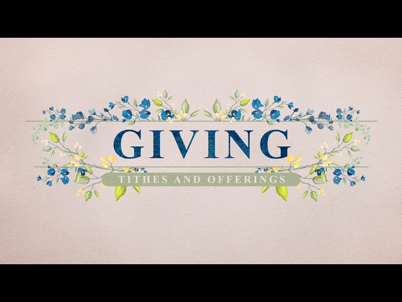 PETITE FLOWER: GIVING