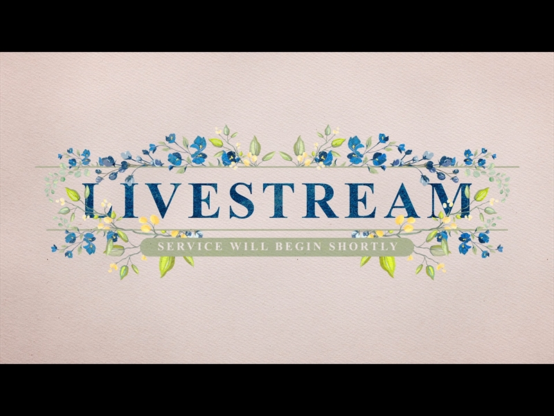 PETITE FLOWER: LIVESTREAM
