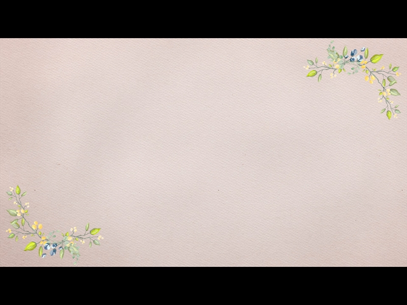 PETITE FLOWER: LOOP 05